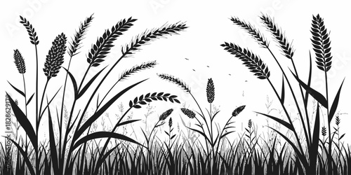 Silhouette illustration of wheat field with birds flying in the background scenery
