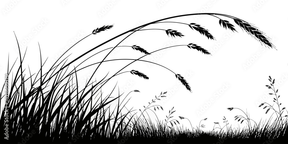 Naklejka premium Silhouette of grass and wheat stalks blowing in the wind on a white background view