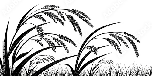Illustration of black silhouette of rice plants with grain heads against white backdrop
