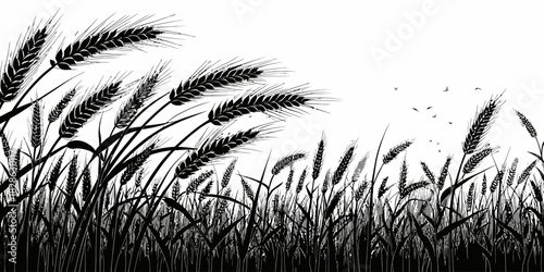Silhouette illustration of a field of wheat with birds flying in the background
