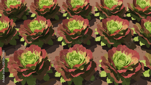 Rows of lettuce growing in garden with colorful leaves and soil  