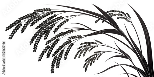 Illustration of several stalks of rice with grains in black and white color scheme