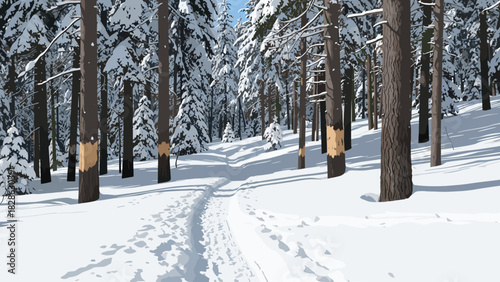 Snow trail in forest with trees and winter scenery  