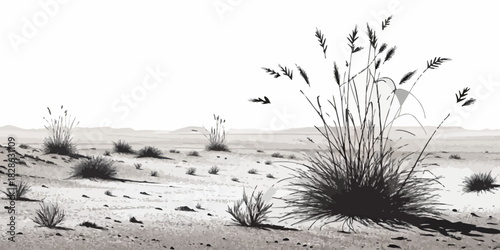 A monochrome landscape featuring sparse vegetation and distant hills under a bright sky
