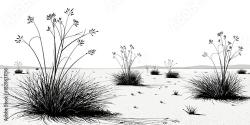 A monochrome illustration of sparse vegetation in a barren landscape under a bright sky