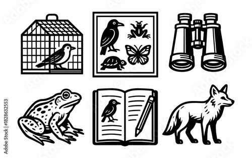 Nature observation icons: birdwatching, wildlife, and exploration tools