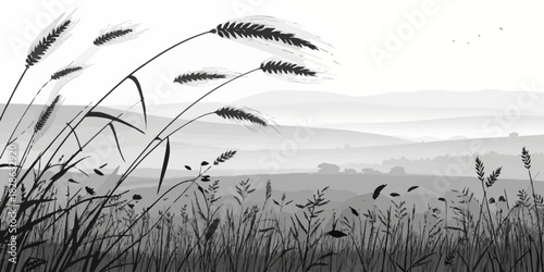 A monochrome landscape with tall grass in the foreground and distant rolling hills behind