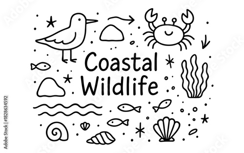 Coastal wildlife doodles: bird, crab, and sea life in simple line art