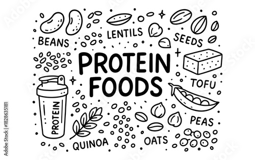 Hand drawn protein food elements featuring various plant-based sources