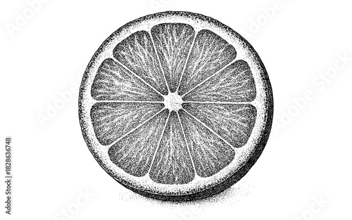 Detailed black and white halftone orange slice sketch