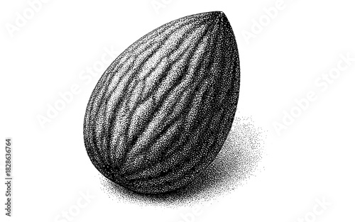 Detailed dotwork style almond with intricate shading and texture