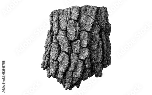 Realistic tree bark texture on white background