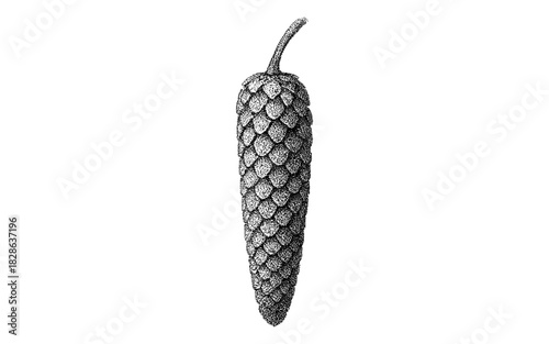 Detailed etching of long peppercorn with vintage floral design