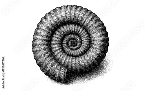 Intricate stippled spiral shell pattern in monochrome style