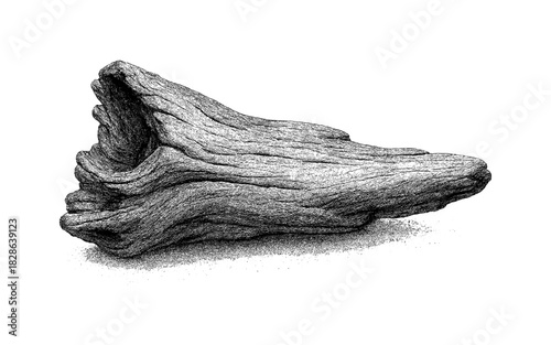 Detailed black and white monochrome illustration of natural driftwood texture