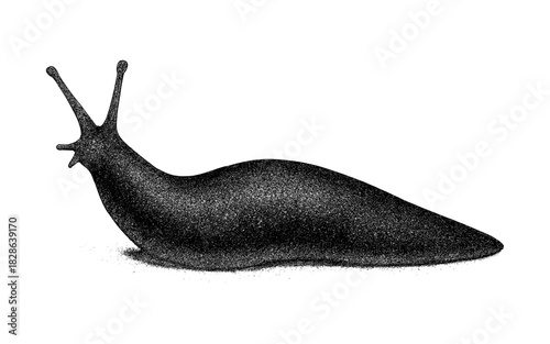 Detailed pointillism snail silhouette against white background
