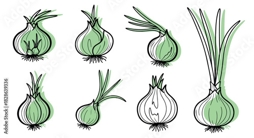 Onions collection with transparent background