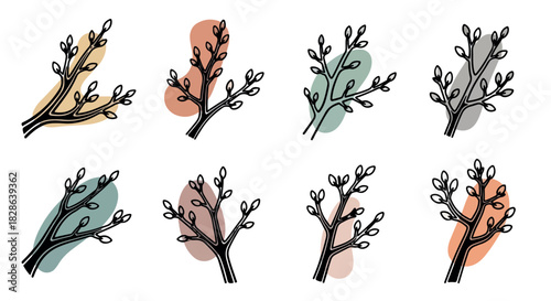 Branch outlines with abstract shapes, botanical elements