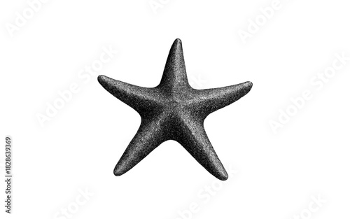 Realistic black starfish on transparent background: marine life art for nautical designs