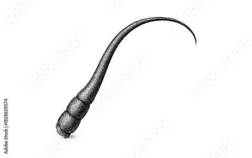 Detailed microscopic hair follicle close-up in black and white stipple art style