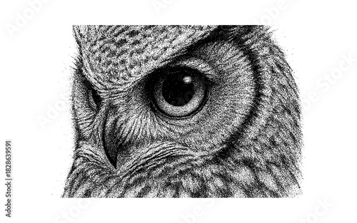 Detailed stipple art of an owl eye close-up in black and white