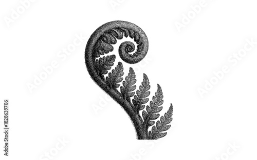 Elegant fern frond with detailed stipple texture and vintage design