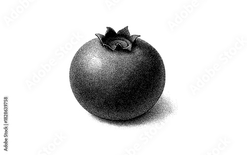 Detailed crosshatch tomato with vintage texture