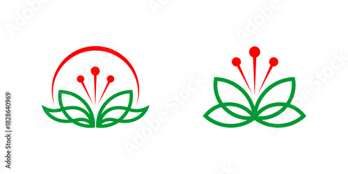 Elegant Floral Designs: Intricate floral designs in red and green, perfect for any branding or decorative project, emphasizing natural beauty and artistic finesse.