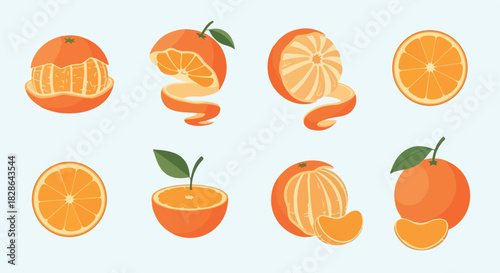 Orange fruit slices and whole oranges with transparent background