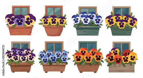Pansies in window boxes with colorful blooms