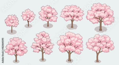 Pink cherry blossom trees in various sizes
