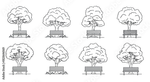 Trees and benches in a park outline style