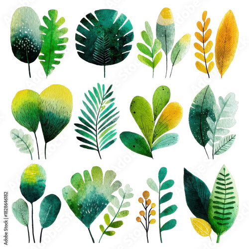 Watercolor green leaf illustration background with various leaf shapes, botanical art, for graphic design and nature inspired themes