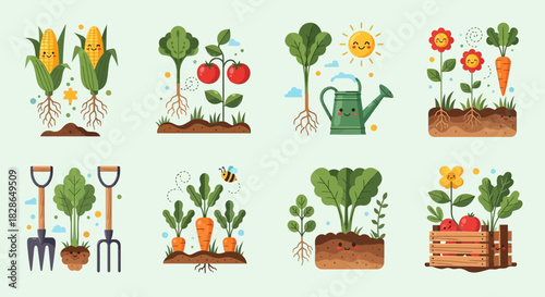 Cartoon Vegetable Garden Illustration with Corn, Tomatoes, Carrots, and Gardening Tools