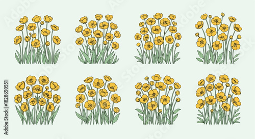 Yellow flowers in pots set with transparent background