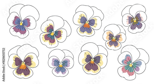 Pansy flowers arrangement with transparent background