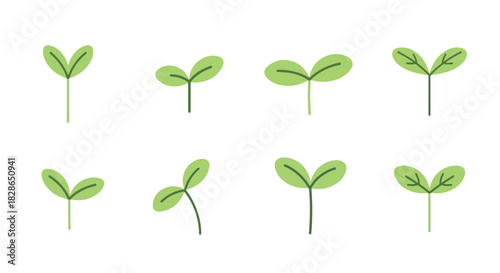 Green plant sprouts with transparent background