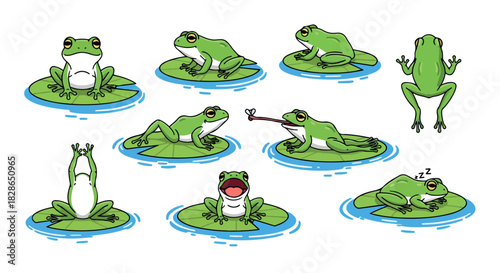 Green frogs in various poses on lily pads
