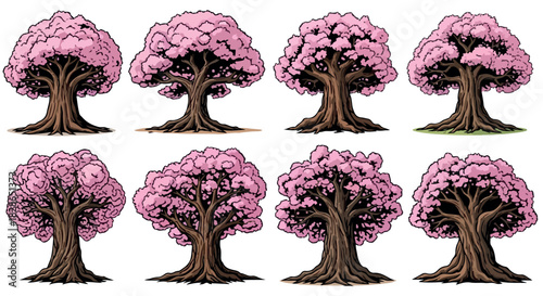 Pink cherry blossom trees set with transparent background