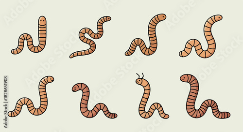Worms collection with transparent background