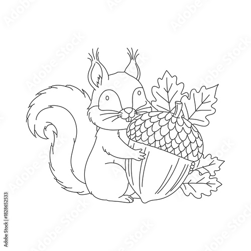 Cute squirrel holding a large acorn with oak leaves silhouette isolated on white background