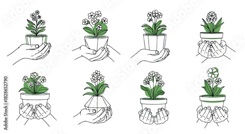 Colorful flowers and foliage arrangement with transparent background