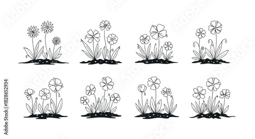 Hand-drawn wildflowers in pots, simple botanical sketch
