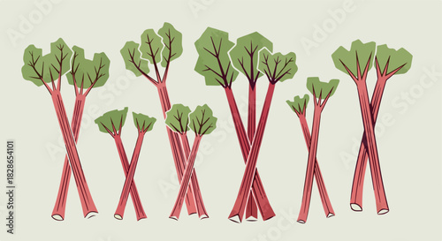 Rhubarb stalks with transparent background
