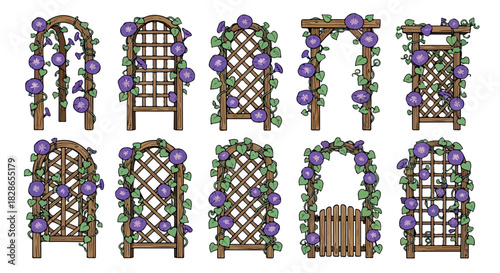 Wooden garden arches with climbing flowers