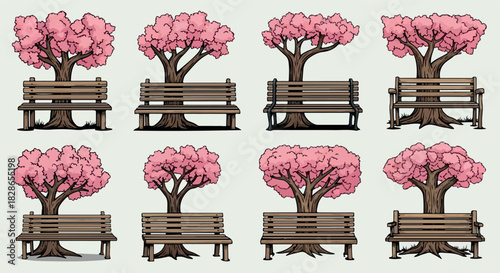Park benches under blossoming cherry trees