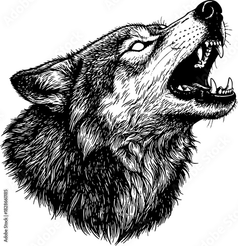 Aggressive Black and White Wolf Head Howling Illustration