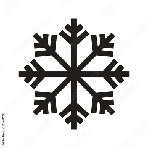 Snowflake symbol representing winter season and cold weather beauty