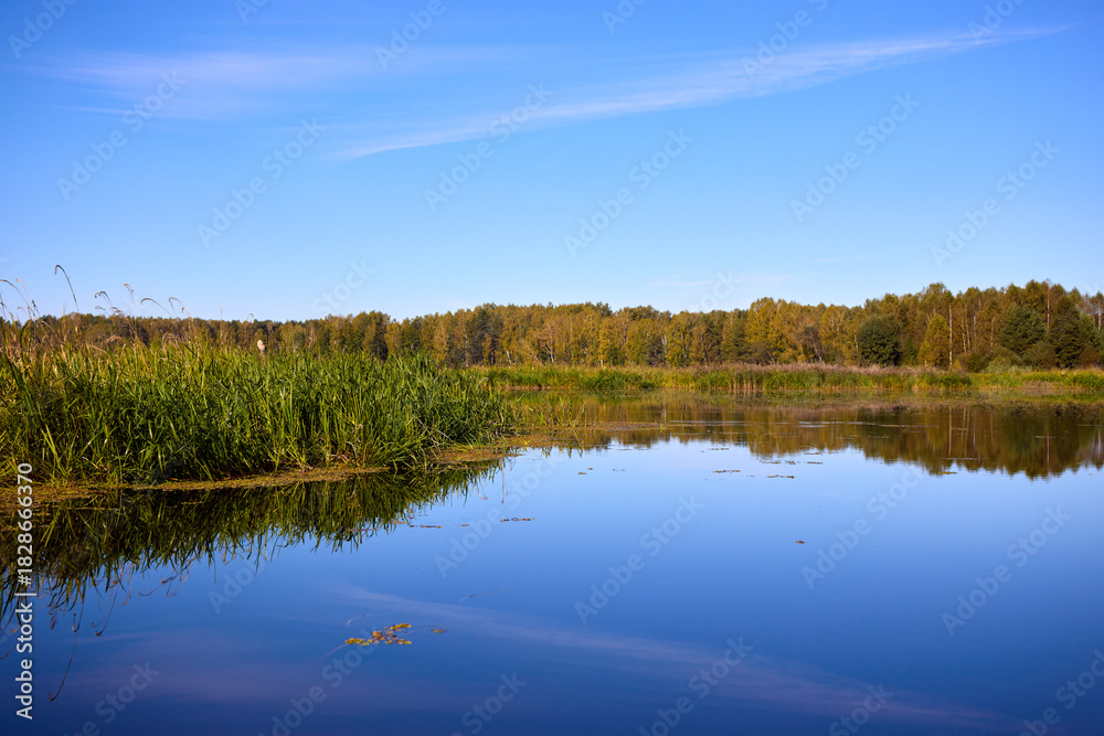 Obraz premium Serene Lake View with Lush Greenery and Clear Sky