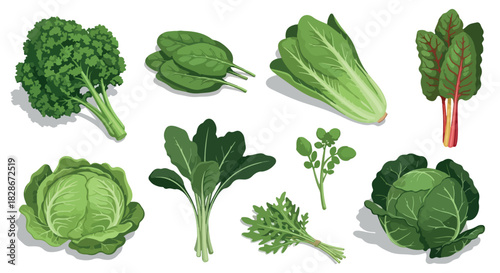 Assorted leafy greens collection with transparent background